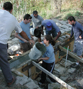 UF Wetlands Club constructing a walkway for the Stormwater Ecological Enhancement Project (SEEP) at the Natural Area Teaching Lab. 