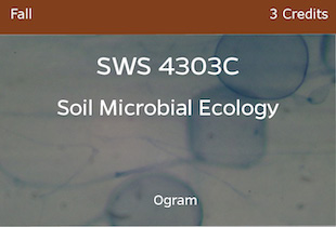 SWS4303C, Soil Microbial Ecology, Ogram, Fall, 3 credits