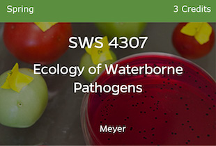 SWS4307 Meyer, Ecology of Waterborne Pathogens, Meyer, Spring, 3 credits