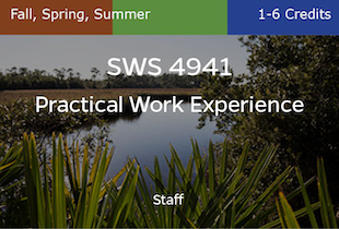 SWS4941, Practical Work Experience, Staff, Fall, Spring, Summer, 1-3 credits