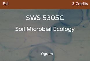 SWS5305C, Soil Microbial Ecology, Ogram, Fall, 3 credits