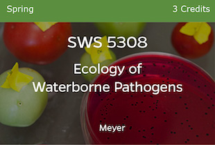 SWS5308, Ecology of Waterborne Pathogens, Meyer, Spring, 3 credits