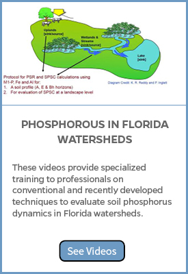 Phosphorus in FL Watersheds video topics