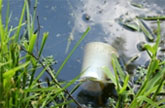 Water Pollution - cup in water