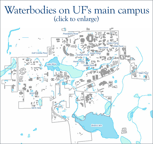 Waterbodies on UF's main campus