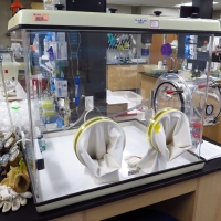 Main lab