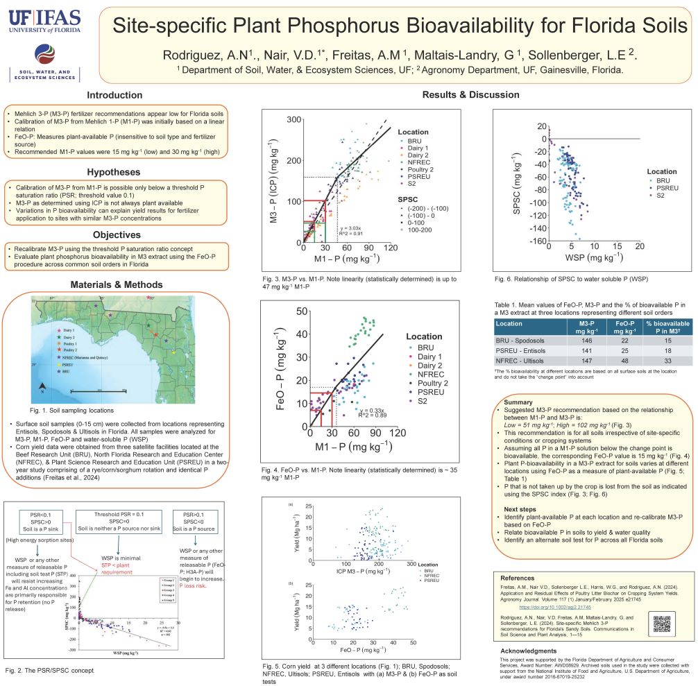 Soil traits, including human impacts, affect phosphorus (P) availability linked to Mehlich 3-P (M3-P). We refined M3-P recommendations for Florida soils using its relationship to the older M1-P test. The new M3-P threshold is 102 mg/kg vs. the current 45 mg/kg. FeO-P results show varied P availability at similar M3-P levels, explaining inconsistent crop responses.