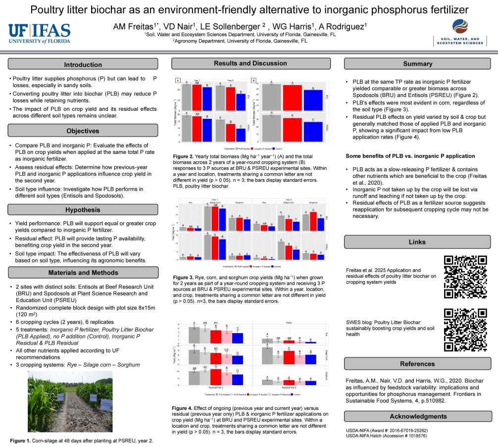 Poultry litter biochar (PLB) reduces P losses in sandy soils while supplying nutrients. Over 2 years with rye, corn, and sorghum on Spodosols and Ultisols, PLB yielded biomass equal to or greater than inorganic P. Its slow-release effect suggests reapplication may not be needed next cycle, supporting PLB as a sustainable P fertilizer alternative.
