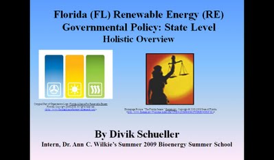 Florida Renewable Energy Policy by Divik Schueller