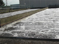 Wastewater treatment plant effluent water