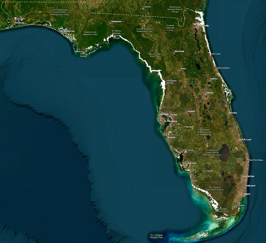 A map from the Florida Fish and Wildlife Conservation Commission showing where tidal salt marshes are along the coast.