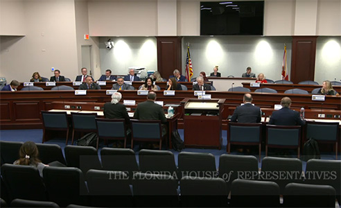 A Florida House of Representative subcommittee hearing on artificial intelligence.