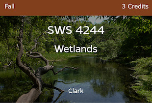 SWS4244, Wetlands, Clark, Fall, 3 credits