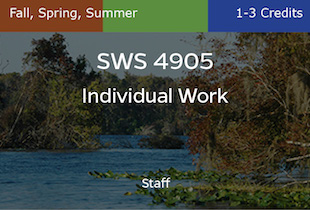 SWS4905, Individual Work, Staff, Fall, Spring, Summer, 1-3 credits