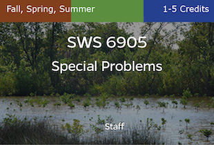 SWS6905, Special Problems, Staff, Fall, Spring and Summer, 1-5 credits