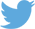 Twitter logo blue 35 px