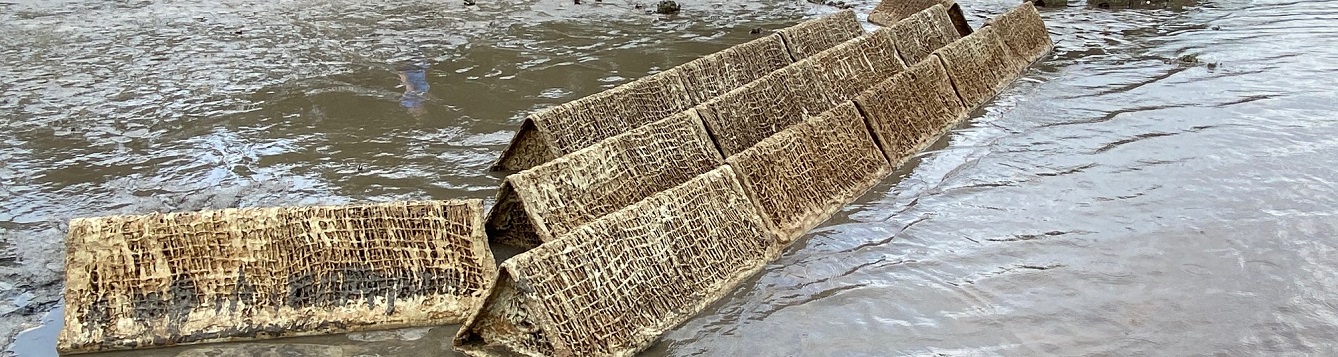 an image of oyster reef prisms in the water off the shore of Cedar Key, Florida. The jute-material structures are an environmentally friendly method of building oyster reefs naturally.