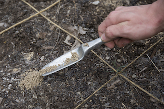 hand and trowel spreading fertilizer on soil