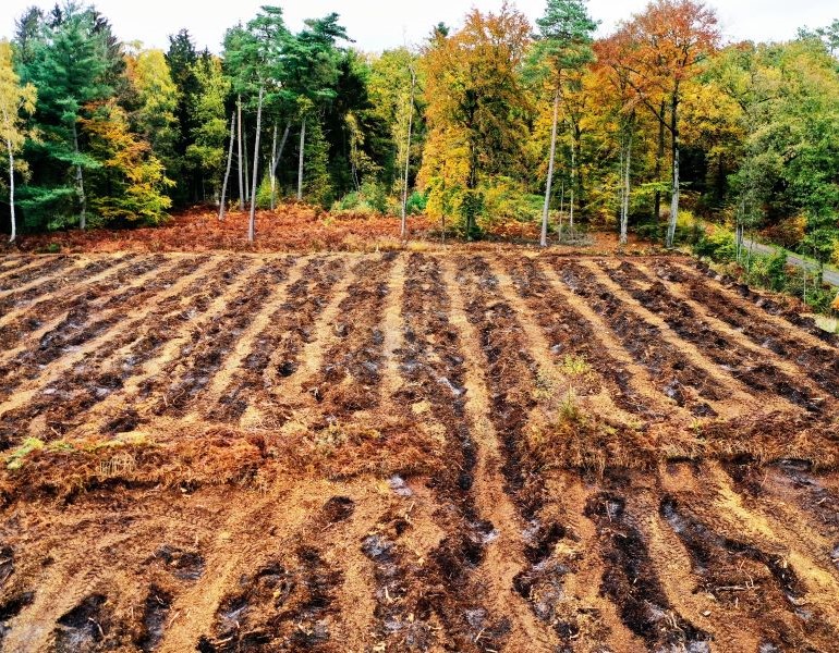 A tilled and plowed field with trees in the background.