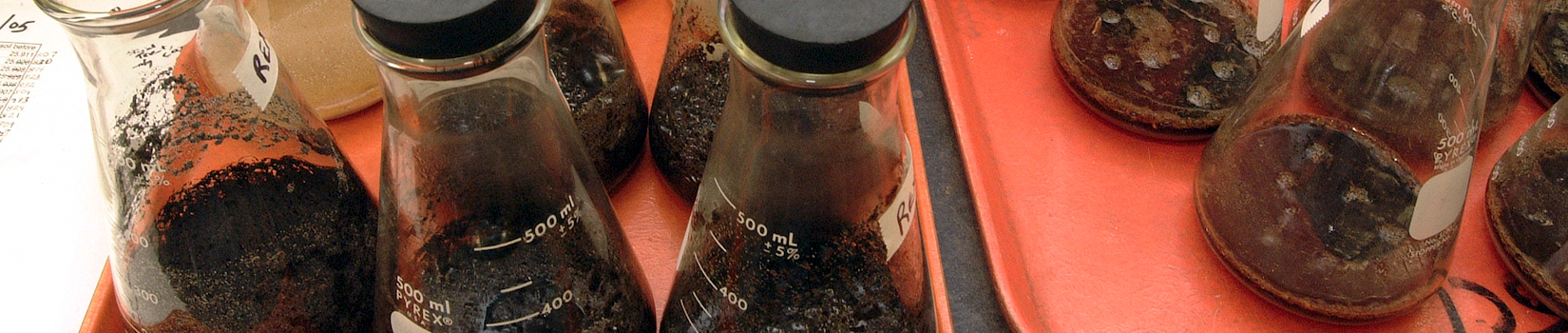 Soil samples slider image
