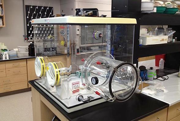 A clear, sealed isolation chamber is on a table in a lab.