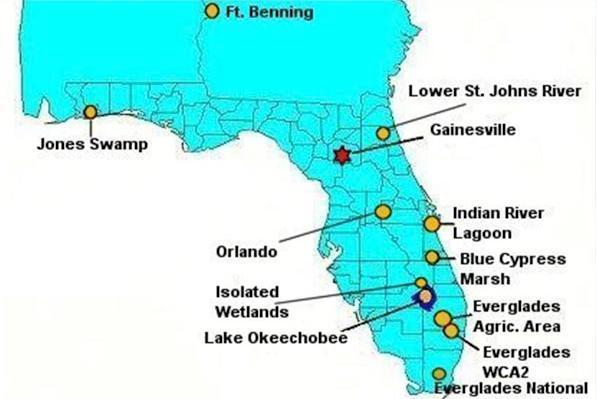 A map of Florida and southern Georgia with yellow dots marking research sites, mostly in the Florida peninsula, but also Jones Swamp in the Florida Panhandle and Fort Benning, Georgia.