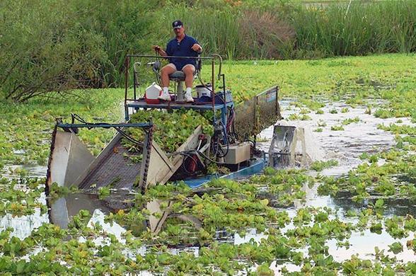 A man sits on top of a boat that is used for collecting aquatic vegetation off the top of a small body of water.