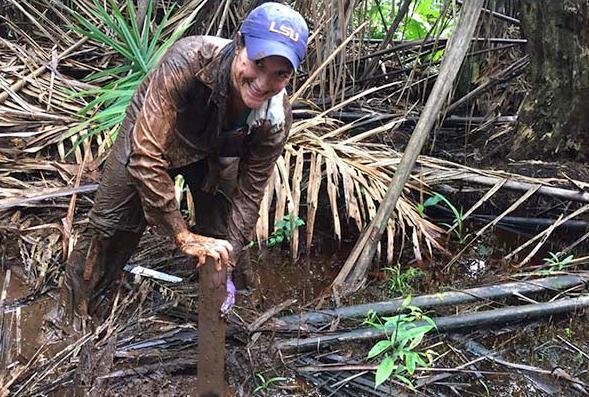 A student wearing field work clothing stands in a wetland, covered with mud, except for their LSU ball cap.