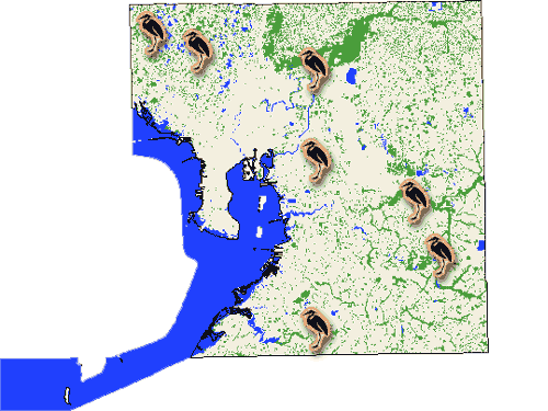 Hillsborough County Map (Florida)